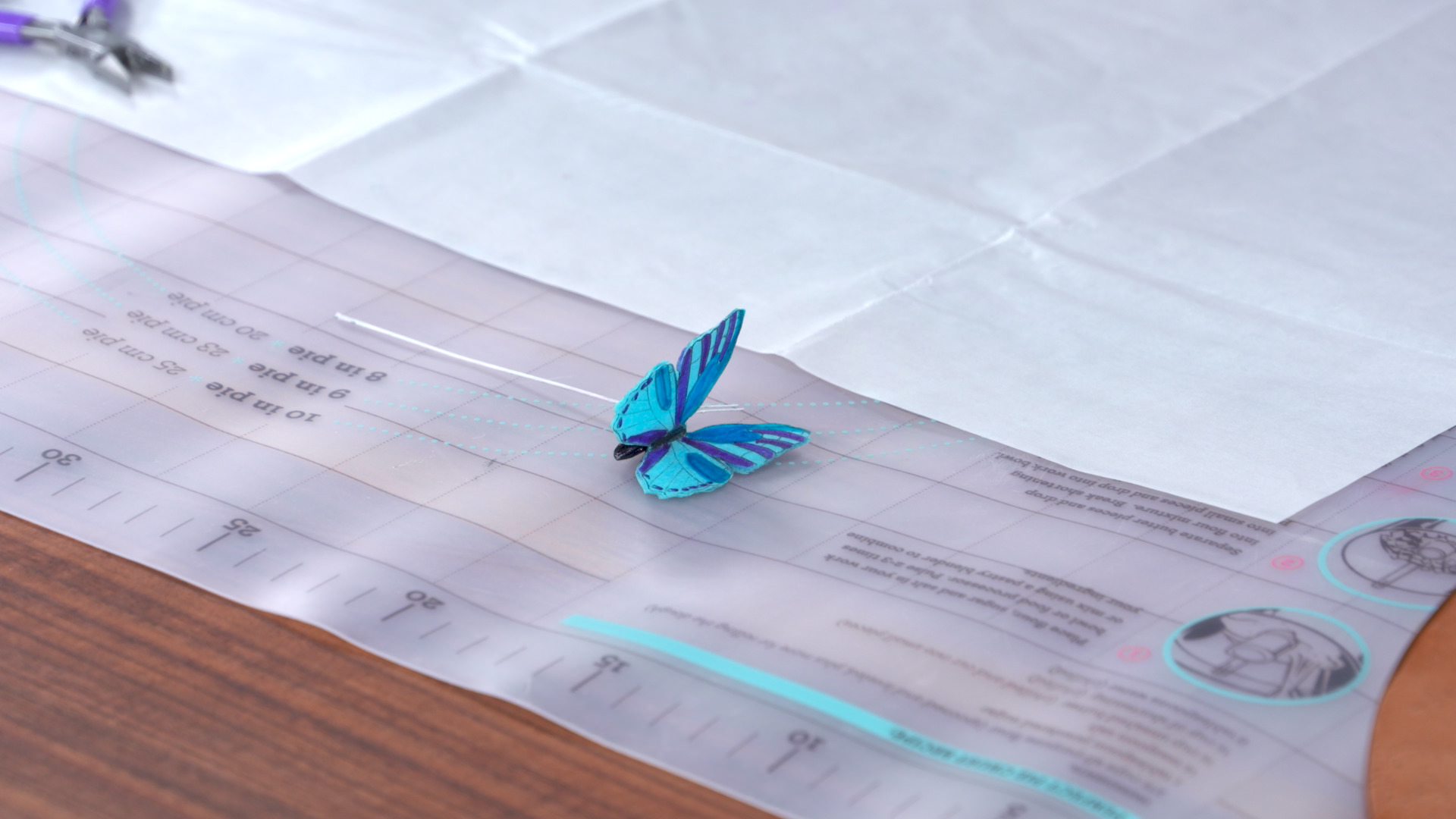 Session 10: Butterflies Q & A