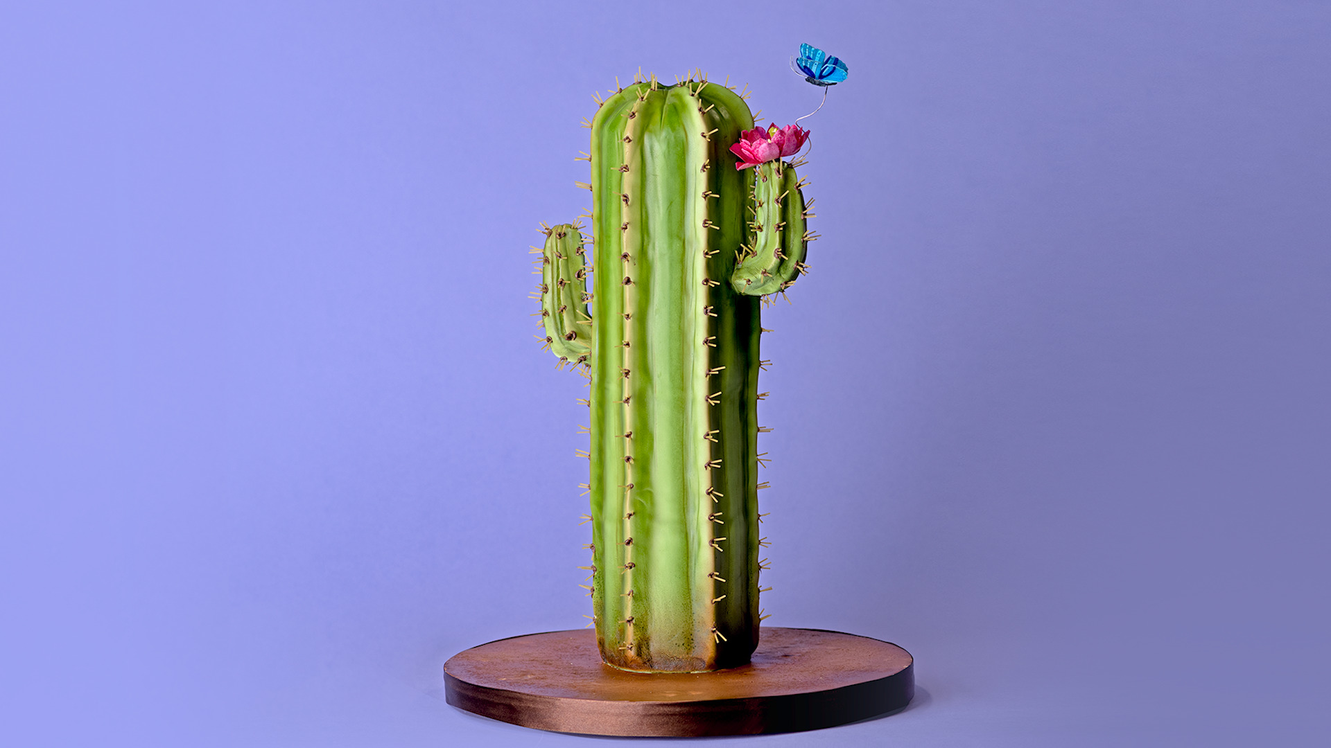 Session 12: Setting the Scene Q & A