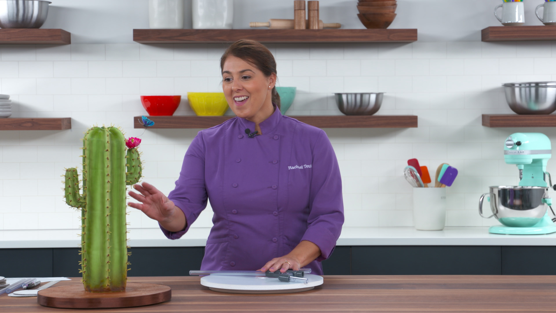 Session 2: Introduction Q & A