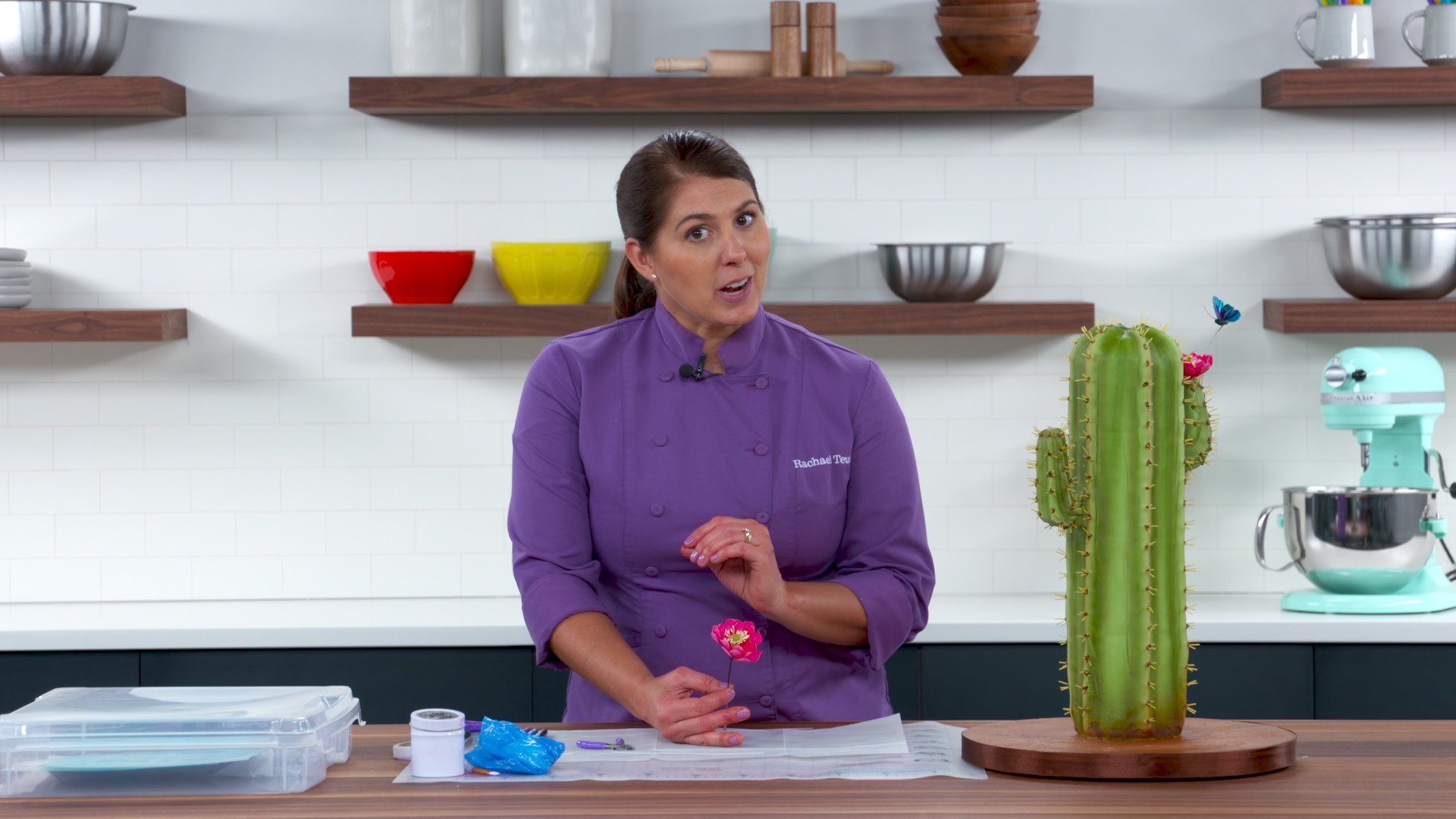 Session 8: Cactus Flowers Q & A