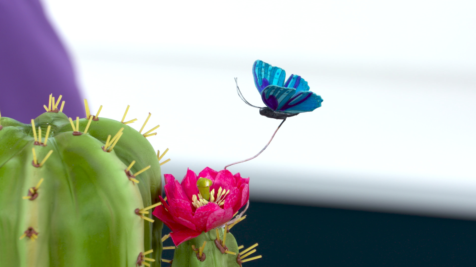 Session 9: Butterflies