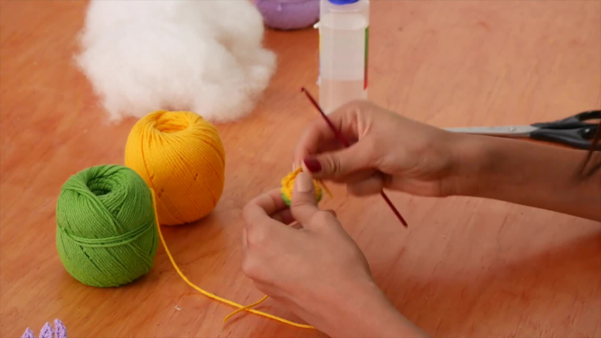 Daisy with Different Positions 